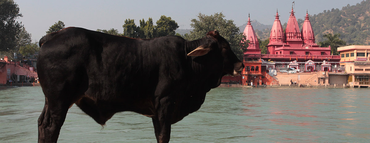 Retreat in Haridwar with Dinesh Sharma Aug 2016